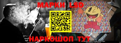 шишки Долгопрудный