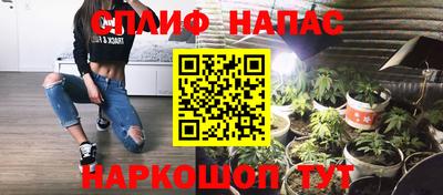 шишки Долгопрудный