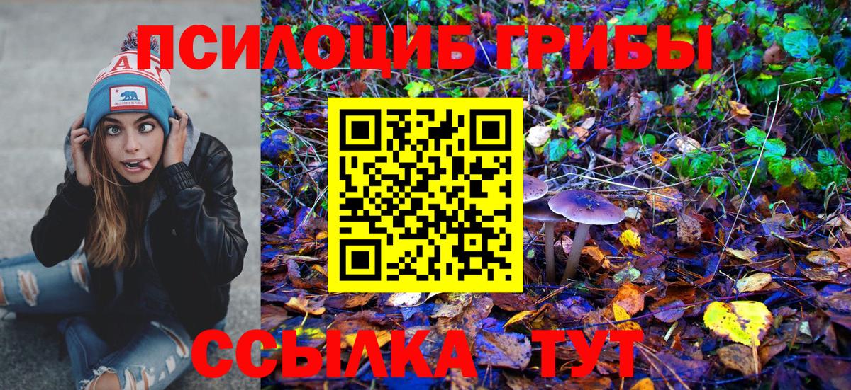 Барнаул  Галлюциногенные грибы Cubensis  купить наркоту  Вход с VPN 